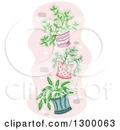 Poster, Art Print Of Potted Plants Hung On A Wall