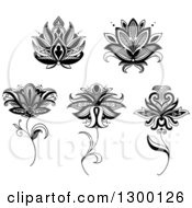 Poster, Art Print Of Black And White Henna And Lotus Flowers 5