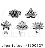 Poster, Art Print Of Black And White Henna And Lotus Flowers