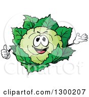 Poster, Art Print Of Cartoon Happy Cauliflower Character Presenting And Giving A Thumb Up