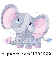 Poster, Art Print Of Cute Gray Baby Elephant With Pink Ears Looking Upwards
