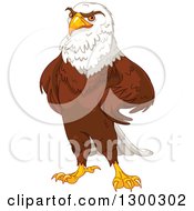 Poster, Art Print Of Handsome Bald Eagle Standing With Hands On His Hips