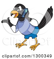 Talkative Male Magpie Bird Wearing Blue Gesutring And Talking On A Cell Phone