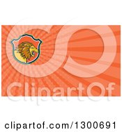 Poster, Art Print Of Cartoon Roaring Male Lion And Orange Rays Background Or Business Card Design