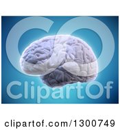 Poster, Art Print Of 3d Glowing Human Brain Over Blue
