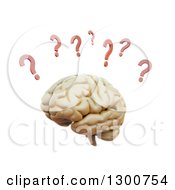 3d Human Brain With Red Question Marks On White