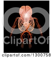 Poster, Art Print Of 3d Aerial View Of A Human Skeleton With Visible Central Nervous And Circulatory Systems On Black
