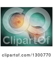 Clipart Of 3d Cell Division Through Mitosis Over Green Royalty Free Illustration