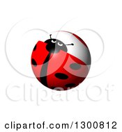 Poster, Art Print Of Shiny Ladybug Globe On White