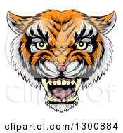 Poster, Art Print Of Vicious Snarling Tiger Mascot Face