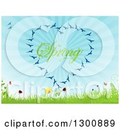 Poster, Art Print Of Heart Formed Of Blue Birds Around Spring Text With Butterflies Flowers Grass Ferns And Blue Sunshine Rays