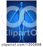Poster, Art Print Of 3d Anatomical Male With Visible Skeleton On Blue