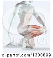 Clipart Of A 3d Anatomical Xray Man Kneeling With Vible Muscles And Knee Pain Royalty Free Illustration