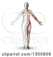 Poster, Art Print Of 3d Anatomical Female With Half Of Her Body Showing Visible Muscle Map On White