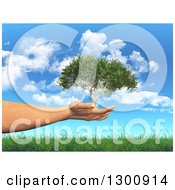 Poster, Art Print Of 3d White Female Hand Holding A Tree In Her Hands Over Grass And Blue Sky With Clouds