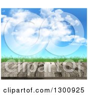 Poster, Art Print Of 3d Wood Table Or Deck Against Grass Blue Sky Clouds And Sunshine