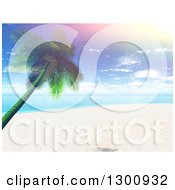 Poster, Art Print Of 3d Tropical Beach With A Leaning Palm Tree And A Retro Sun Flare