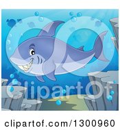 Poster, Art Print Of Cartoon Grinning Purple Shark Swimming Against A Silhouetted Reef And Fish