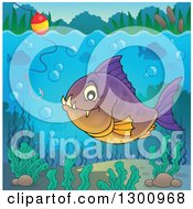 Purple And Orange Carnivorous Piranha Fish Underwater With A Fishing Hook And Visible Surface
