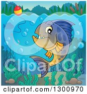 Poster, Art Print Of Carnivorous Piranha Fish Underwater With A Fishing Hook And Visible Surface