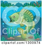 Poster, Art Print Of Green Freshwater Fish In A River With Visible Surface