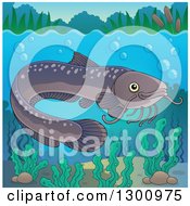 Poster, Art Print Of Freshwater Catfish Fish In A River With Visible Surface