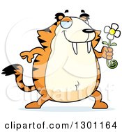 Clipart Of A Cartoon Romantic Chubby Sabertooth Tiger Giving A Flower Royalty Free Vector Illustration