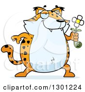 Poster, Art Print Of Cartoon Romantic Chubby Bobcat Character Giving A Flower