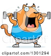 Poster, Art Print Of Cartoon Chubby Ginger Cat Working Out With Dumbbells