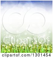 Clipart Of A Spring Time Background Of Daisy Flowers And Grass Over Flares 2 Royalty Free Vector Illustration