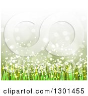 Clipart Of A Spring Time Background Of Daisy Flowers And Grass Over Flares 3 Royalty Free Vector Illustration by vectorace