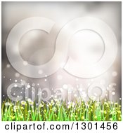 Clipart Of A Spring Time Background Of Daisy Flowers And Grass Over Flares Royalty Free Vector Illustration