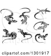 Poster, Art Print Of Black And White Tribal Lizards 4