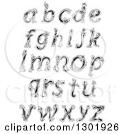 Clipart Of Black And White Vintage Floral Lowercase Letters Royalty Free Vector Illustration
