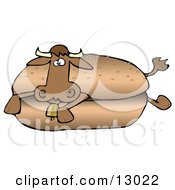 Confused Cow Lying In A Hamburger Bun Clipart Illustration