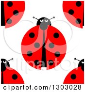 Poster, Art Print Of Seemless Aerial View Of Ladybugs Background Pattern