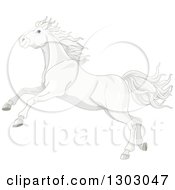 Poster, Art Print Of Pretty White Horse Running Or Rearing
