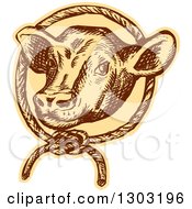 Poster, Art Print Of Sketched Or Engraved Cow Head In A Rope Circle