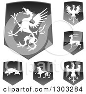 Poster, Art Print Of Shiny Black Shields With White Silhouetted Heraldic Animals