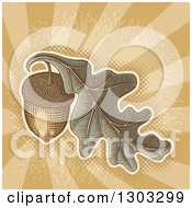 Poster, Art Print Of Engraved Acorn And Oak Leaf Over Grungy Brown Rays And Halftone
