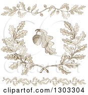 Poster, Art Print Of Engraved Acorn And Oak Leaf Design Elements