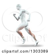 Poster, Art Print Of 3d Anatomical White Male Running With Visible Leg Muscles On White
