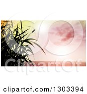 Poster, Art Print Of 3d Grassy Plant Silhouetted Against A Pink Sky With Sun Flares And The Ocean