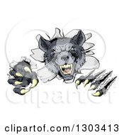 Poster, Art Print Of Ferocious Gray Wolf Slashing And Breaking Through A Wall