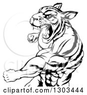 Poster, Art Print Of Black And White Vicious Roaring Muscular Tiger Man Punching