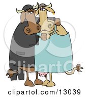 Cute Loving Cow Couple Dancing Together