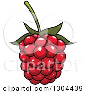 Poster, Art Print Of Cartoon Shiny Raspberry