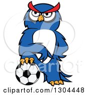Poster, Art Print Of Cartoon Blue Sporty Owl Resting A Foot On A Soccer Ball