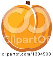 Cartoon Apricot Fruit 2