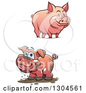 Poster, Art Print Of Cartoon Happy Muddy And Clean Pigs